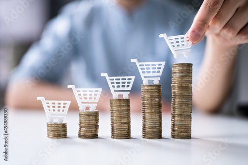 Ecommerce Business Growth photo