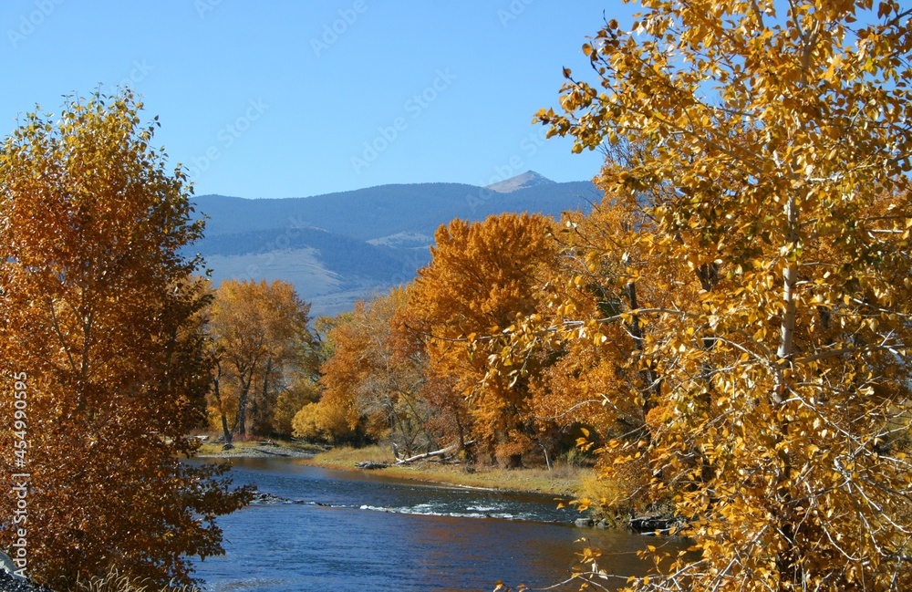 Fall colors on the Big Hole River in Beaverhead County Montana