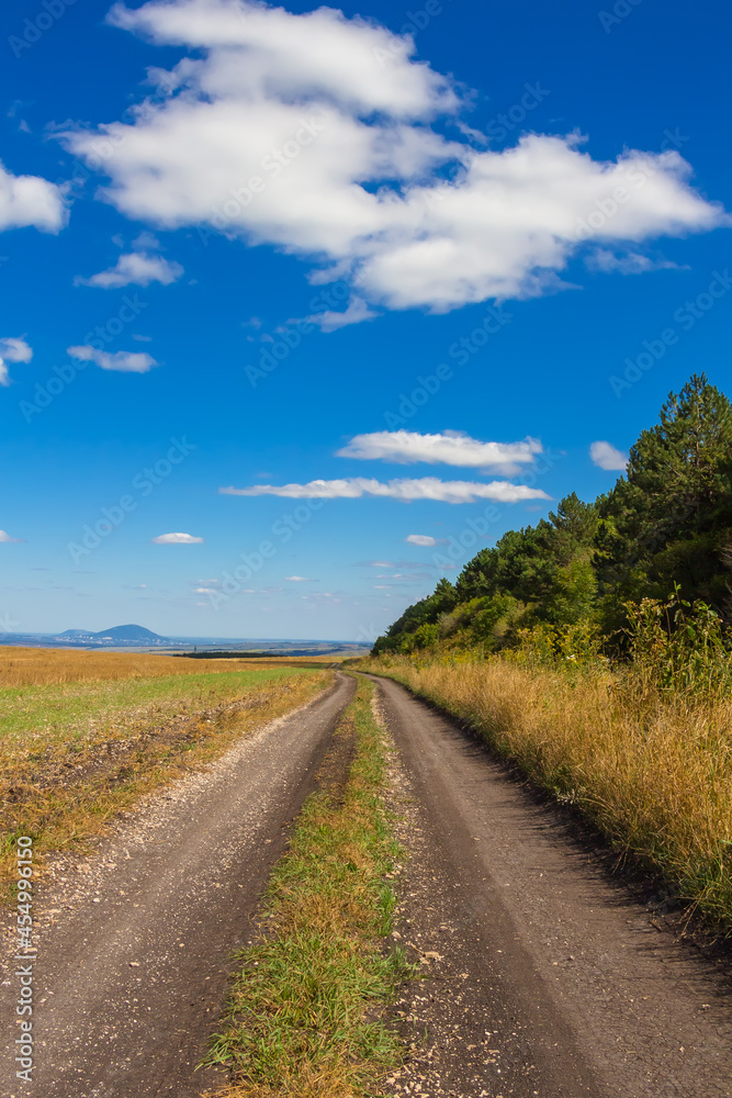 A dirt country road in a field stretching into the distance against a blue sky with white clouds.