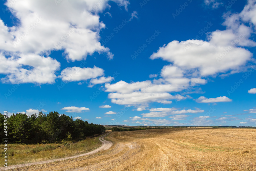 A golden mown field, a country road stretching into the distance against a blue sky with beautiful white clouds.