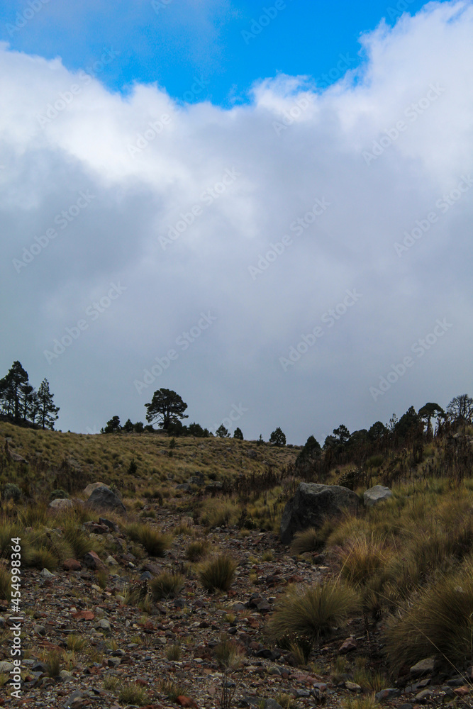 praderas alpinas en el Pico de Orizaba, México. Conformadas por grandes pastos, en temporadas estos paisajes se logran ver nevados.