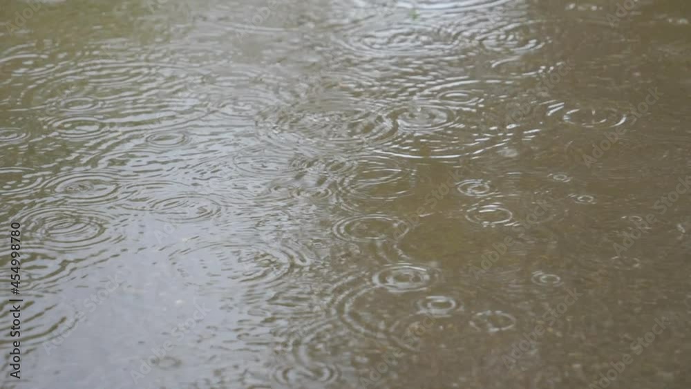 A close up view of rain drops forming circles on a puddle of water. A close up view of rain drops forming circles on a puddle of water.
