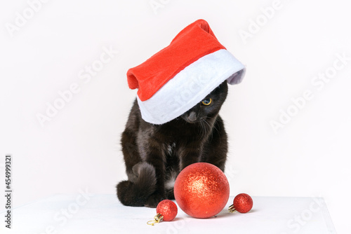 Portrait of a cute black cat festive santa claus look a white background looks with yellow eyes. Festive cat . Cute cat wearing santa claus hat