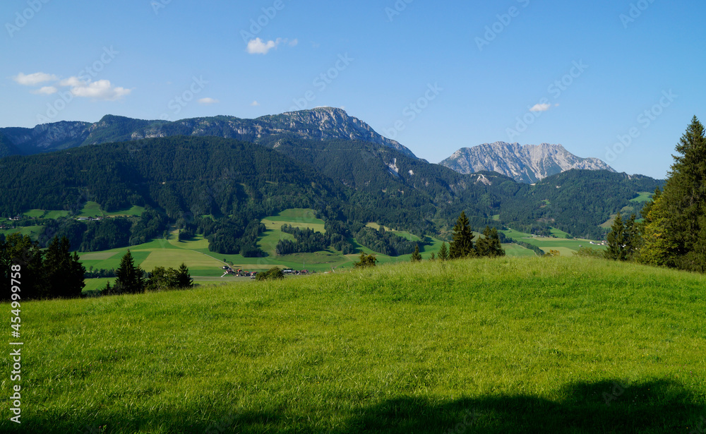 beautiful alpine landscape of a lush green alpine valley with vast alpine meadows and the Austrian Alps in the background in the Schladming-Dachstein region (Austria, Styria or Steiermark)
