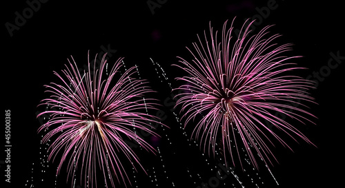 Two pink fireworks
