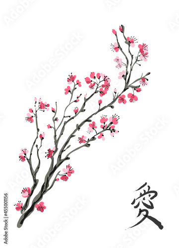 Realistic sakura blossom isolated on white background. Vector