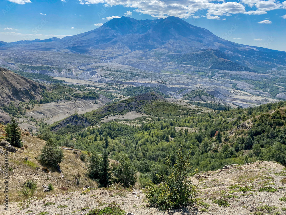 Fototapeta premium Mt St. Helens
