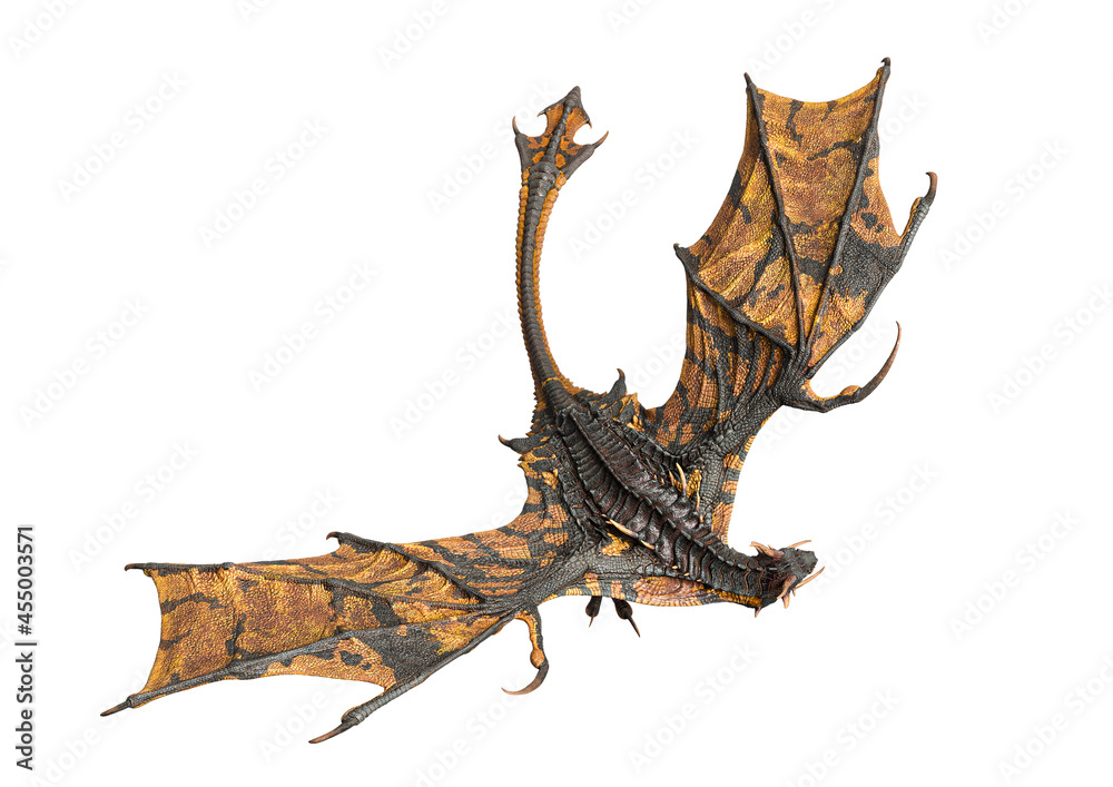 Fototapeta premium master dragon is floating top view