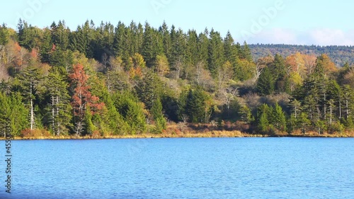 Spruce Knob Lake in West Virginia at sunset with nobody and bright colorful blue water and forest pine trees in autumn fall season landscape view photo