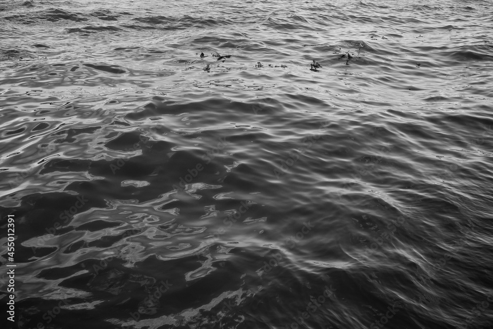 dark water, sea wave, abstract background
dark water, sea wave, abstract background