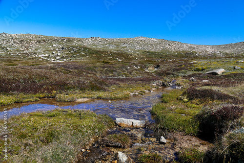 mountain river in the mountains