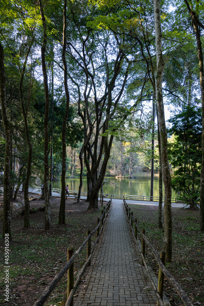 paisagem da reserva ambiental do Horto Florestal. Parque estadual da cidade de São Paulo. paisagem da reserva ambiental do Horto Florestal. Parque estadual da cidade de São Paulo.