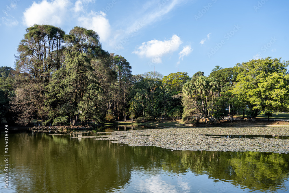paisagem da reserva ambiental do Horto Florestal. Parque estadual da cidade de São Paulo.