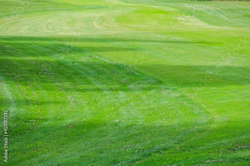green grass texture of the golf course for background. High quality photo