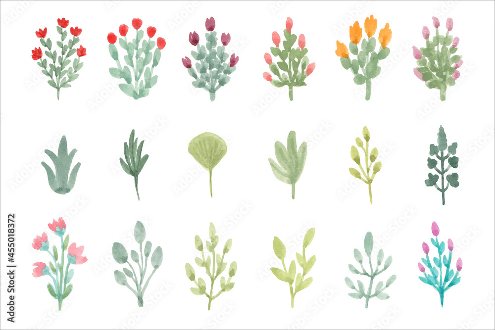 Watercolor wild flowers Watercolor wild flowers