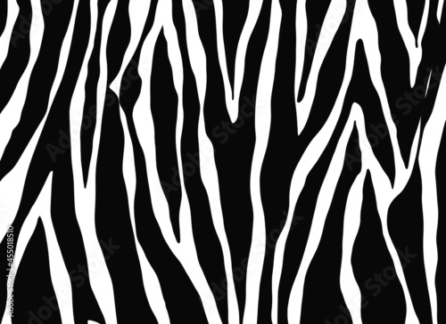 zebra skin texture