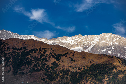 View of green shrubs on mountains at Dharamshala with Himalayas in the background photo