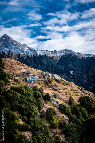 View of green shrubs and houses on mountains at Dharamshala with Himalayas in the background