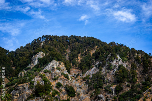 View of green shrubs on mountains at Dharamshala