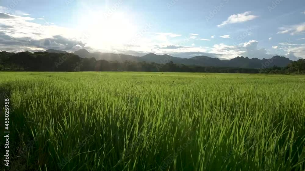 Clouds, sky, meadows, grass blown by the wind, sunlight and evening shadows. sunset behind mountains Clouds, sky, meadows, grass blown by the wind, sunlight and evening shadows. sunset behind mountains