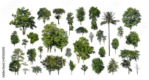 Set of trees silhouette for brush on white background