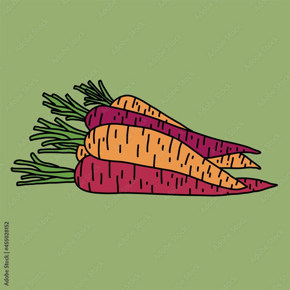 Doodle freehand sketch drawing of carrot vegetable.
