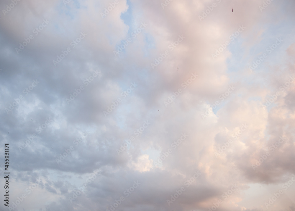 Obraz premium gray clouds against the background of the morning sky, dawn.