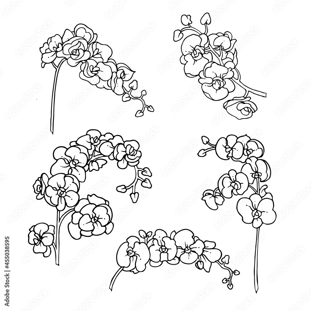 Naklejka premium set outline design of orchid bouquet