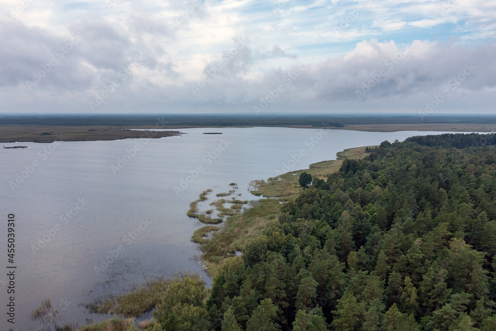 Engure lake in still summer day, Latvia.