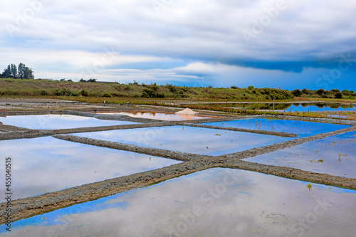 MARAIS SALANTS - GUERANDE