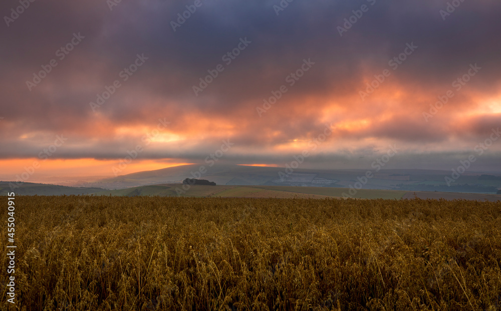 Moody August sunrise over the south downs from Steep Down near Lancing, West Sussex, south east England