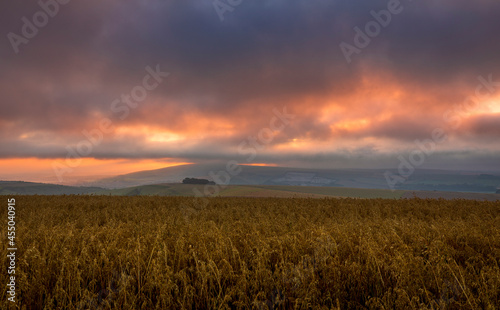 Moody August sunrise over the south downs from Steep Down near Lancing, West Sussex, south east England