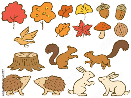 森の小動物達の手描き風イラスト