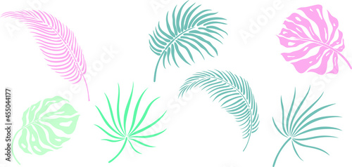 Leaves isolated on white. Tropical leaves. Hand drawn vector illustration 