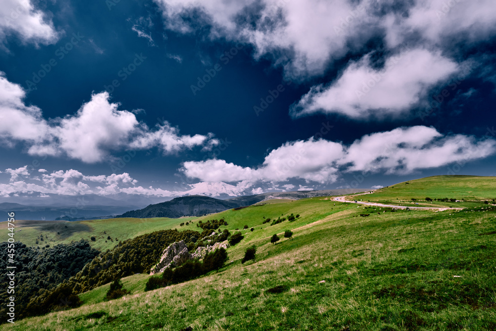Obraz premium panorama of the beautiful countryside. sunny afternoon. beautiful spring landscape in the mountains. grassy field and hills. rural landscapes