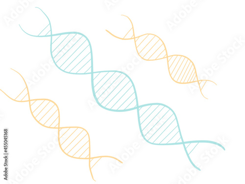 DNS gene illustration