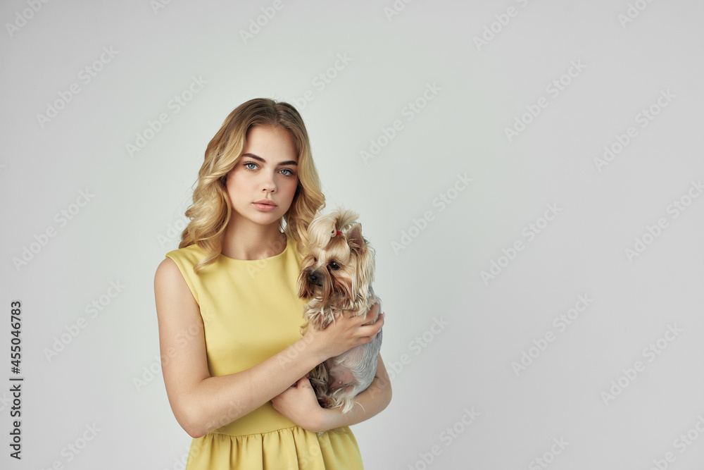 beautiful woman fashionable purebred dog cropped view fashion beautiful woman fashionable purebred dog cropped view fashion