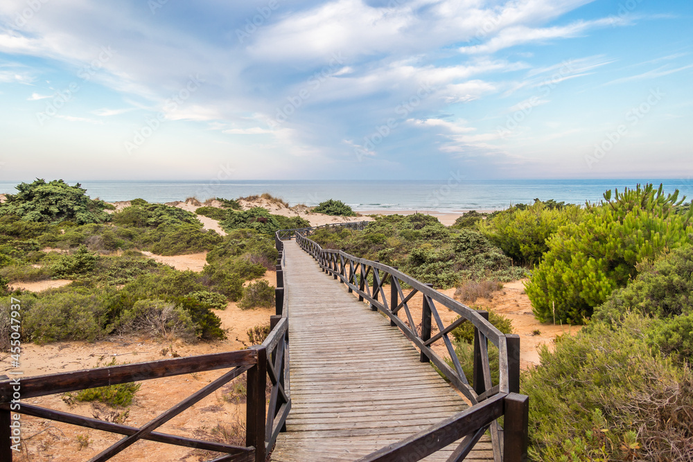 Fototapeta premium access walkway to la barrosa beach in sancti petri, cadiz