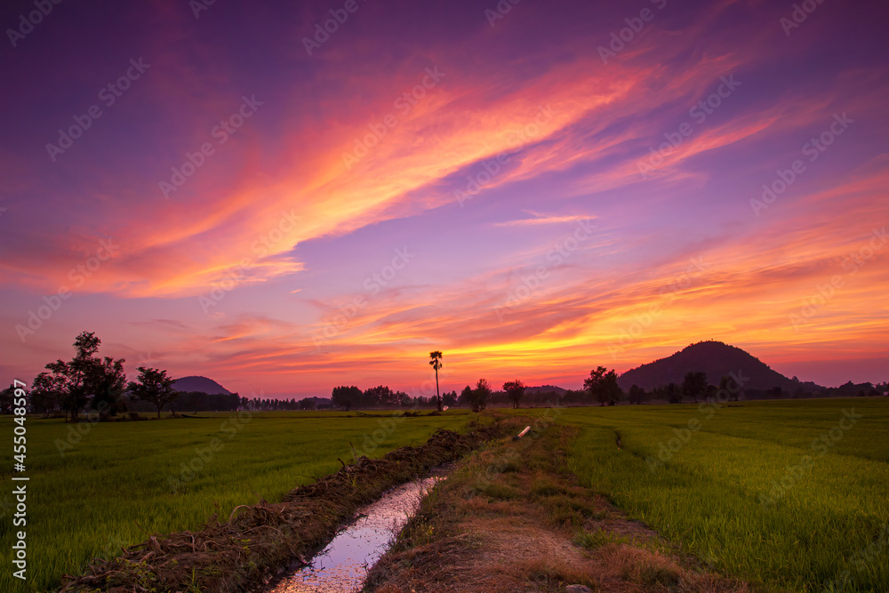 Beautiful sunset twilight sky with river cannel at the rice farm field with mountain background landscape