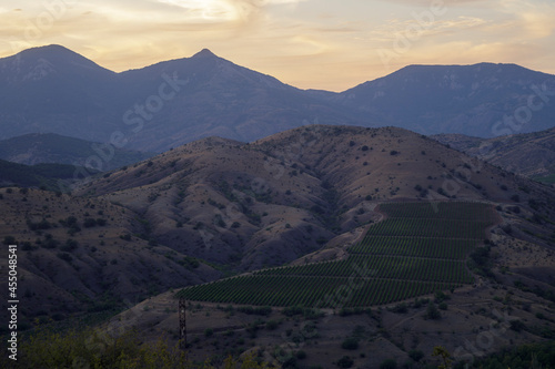 The slopes of the mountain ranges at sunset time. Vineyard among the mountains. Atmospheric perspective