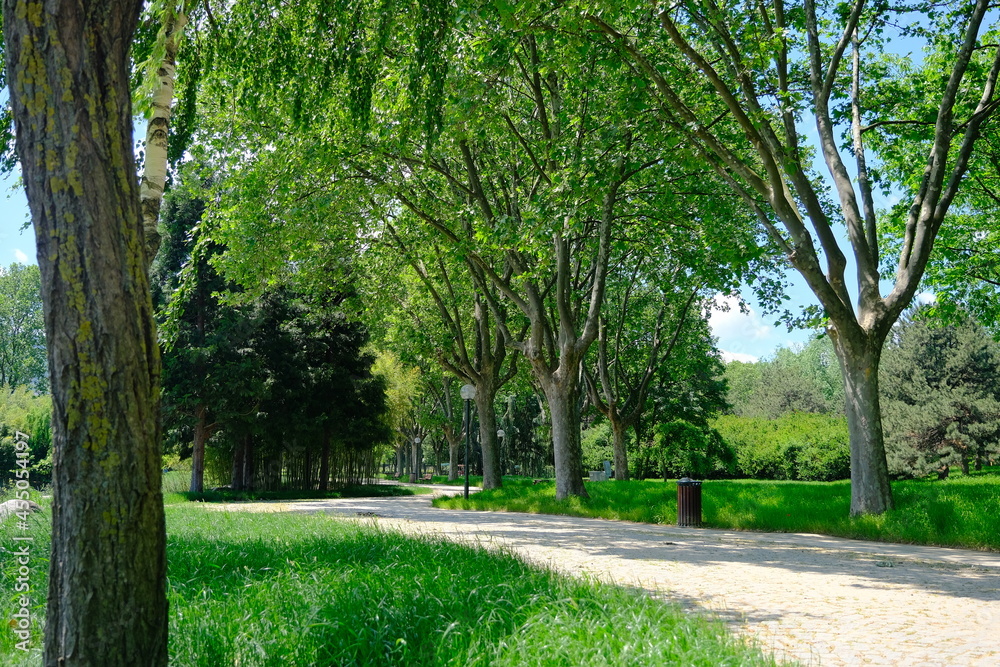 dirty way and path in Bursa public park with street lamps and green grass 