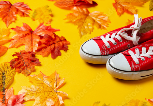 Red gumshoes with autumn leaves on yellow background. Top view photo