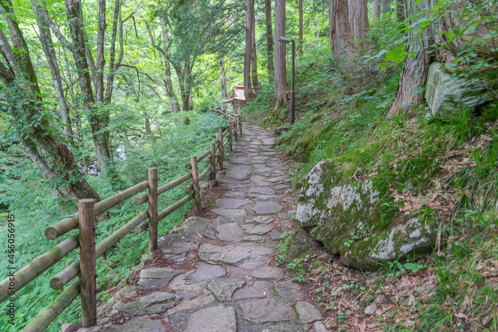 阿弥陀ケ滝 阿弥陀ケ滝