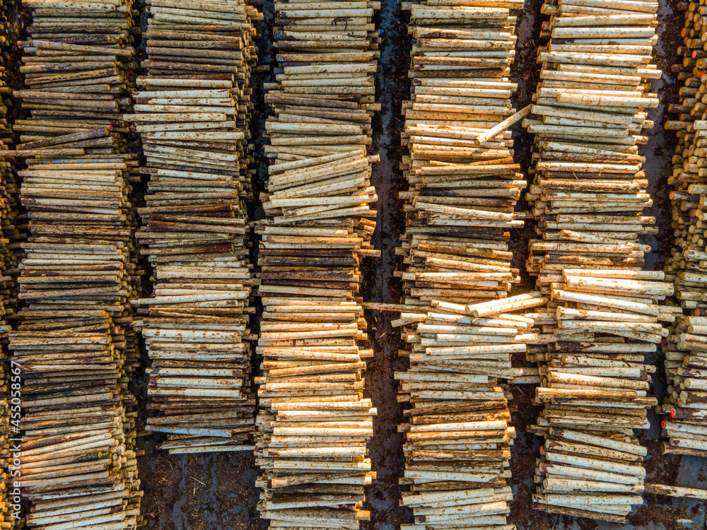 Timber Logs Pile in Sawmill or Lumber Mill Plant Yard Drone View Timber Logs Pile in Sawmill or Lumber Mill Plant Yard Drone View