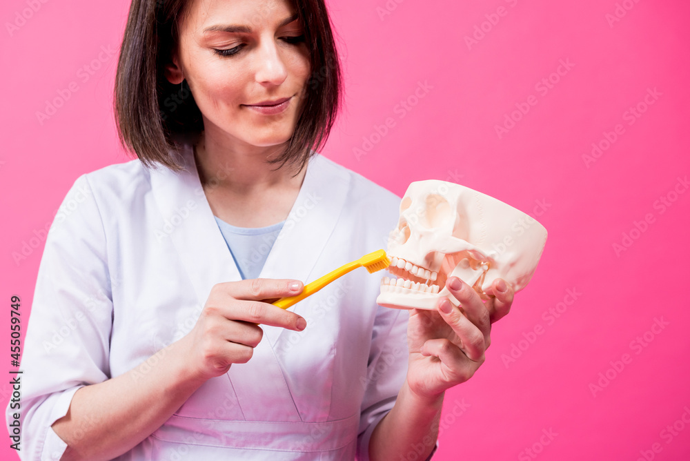 Woman dentist brushing teeth of an artificial skull using a single tufted toothbrush Woman dentist brushing teeth of an artificial skull using a single tufted toothbrush