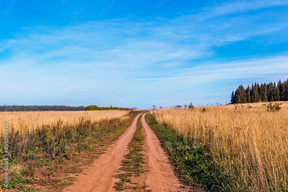 landscape with a dirt road in a field in an autumn day landscape with a dirt road in a field in an autumn day
