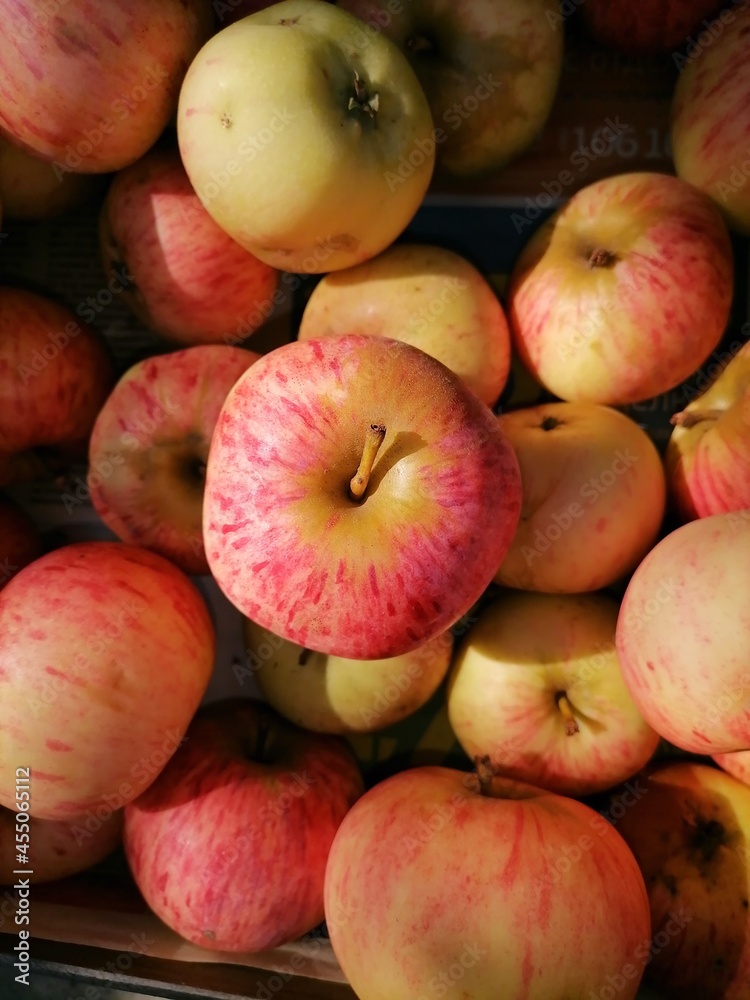 apples apples
