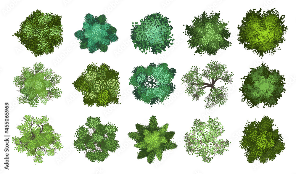 Vector collection. Realistic trees. Top view. Different plants and trees vector set for architectural or landscape design. (View from above) Nature green spaces. - obrazy, fototapety, plakaty 