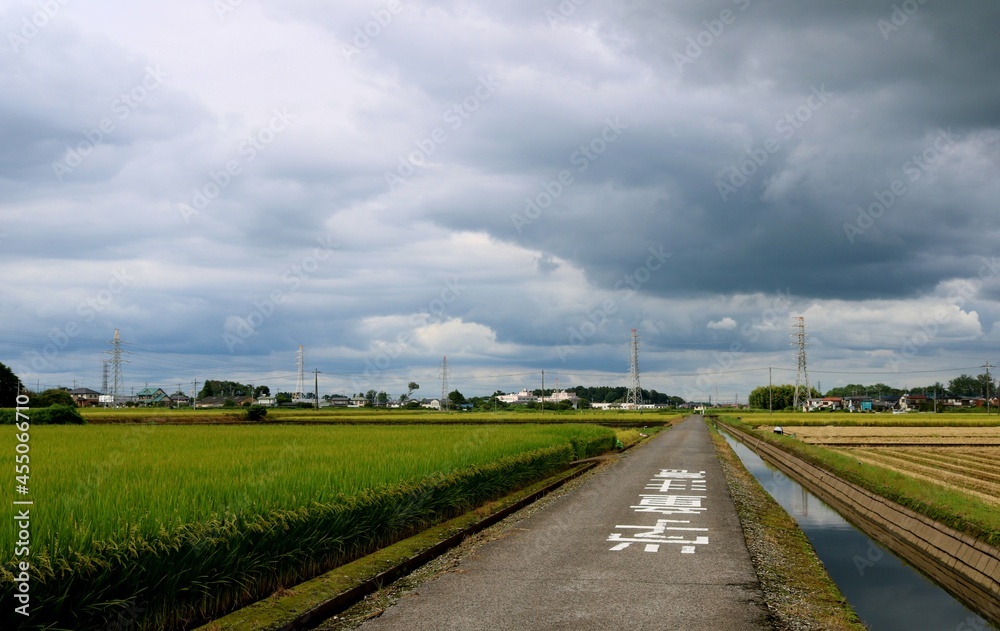 秋　稲作　収穫の時期　曇り空　風景