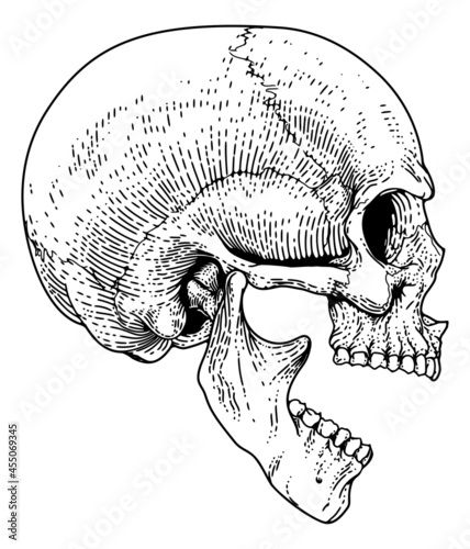 Screaming Skull Vintage Woodcut Etching Engraving